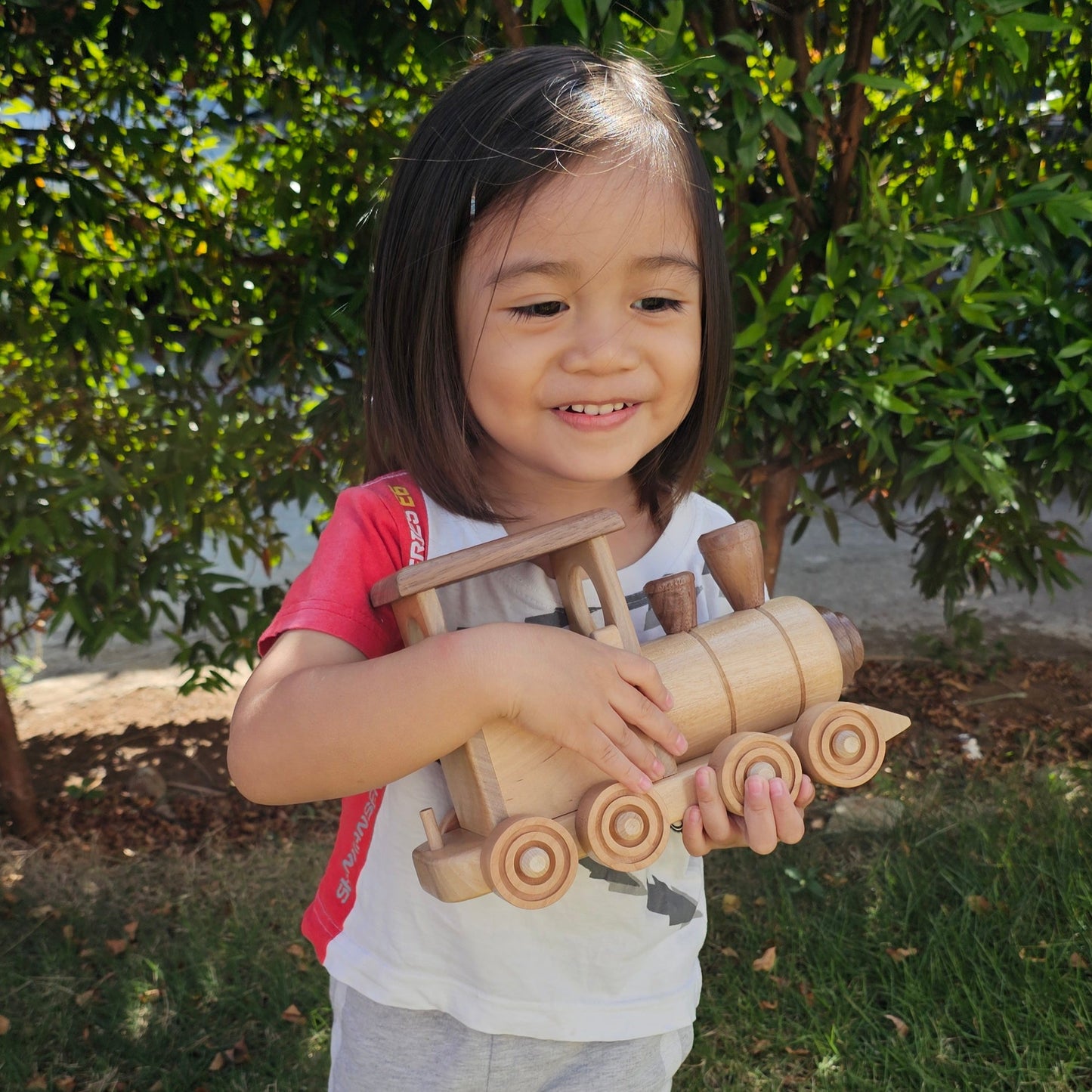 Wooden Train Set